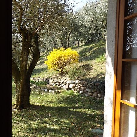 Villa Rocca Marciaga Екстер'єр фото