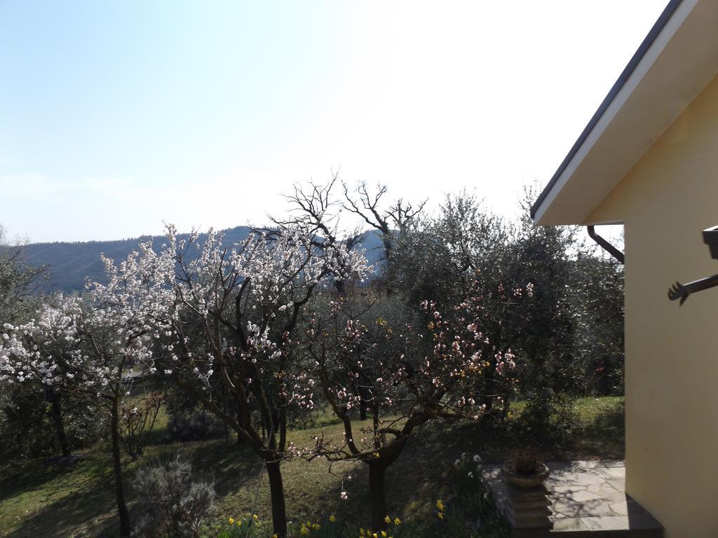Villa Rocca Marciaga Екстер'єр фото